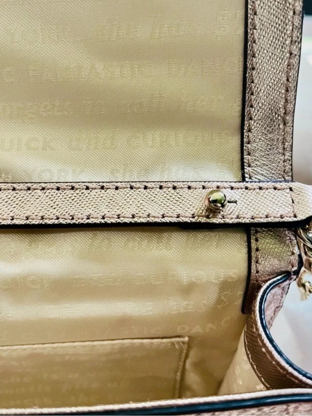 Kate Spade Glitter Bug Cami Clutch/Crossbody with Storybook Lining - NWT